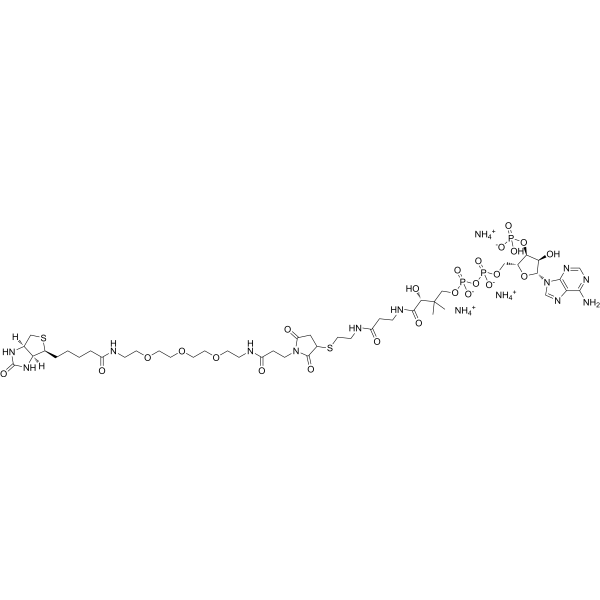 Biotin-PEG3-CoenzymeA